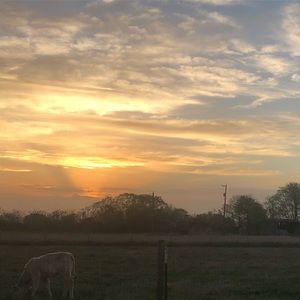 Meet your Posher, Cristina